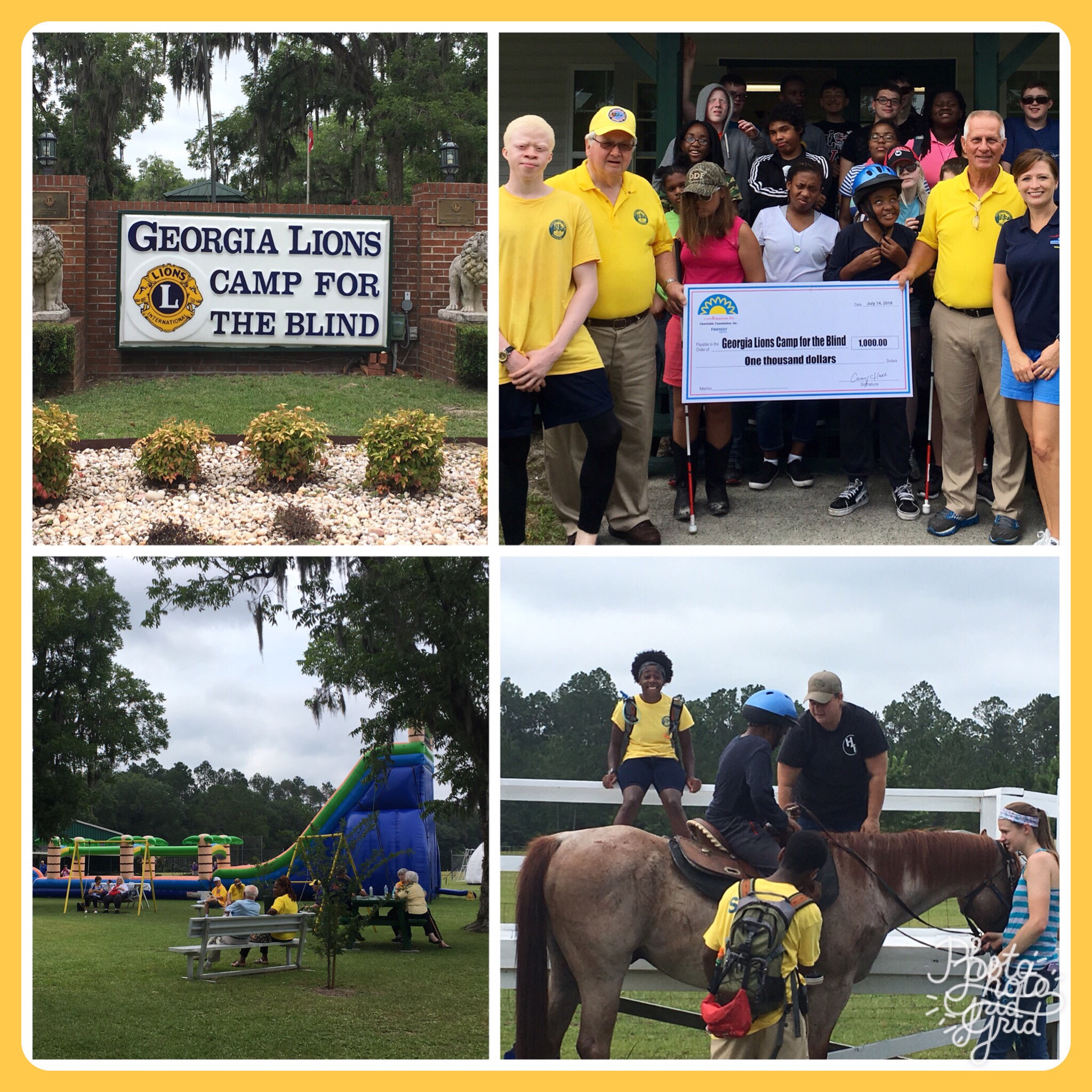 Proud Supporter of Lions Day!